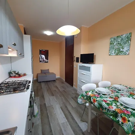 Color Apartments Apartment